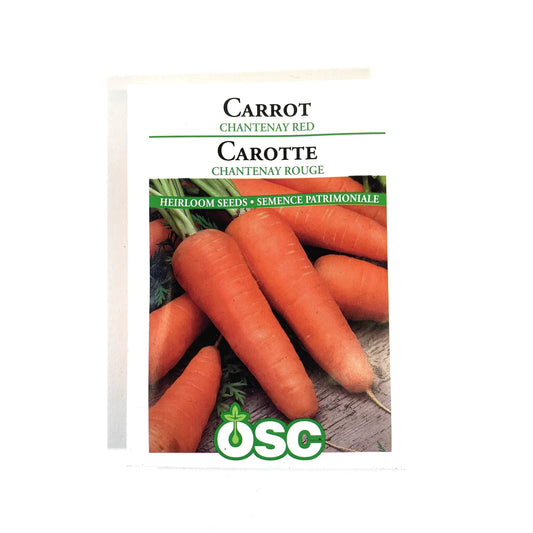 Chantenay Red Carrots