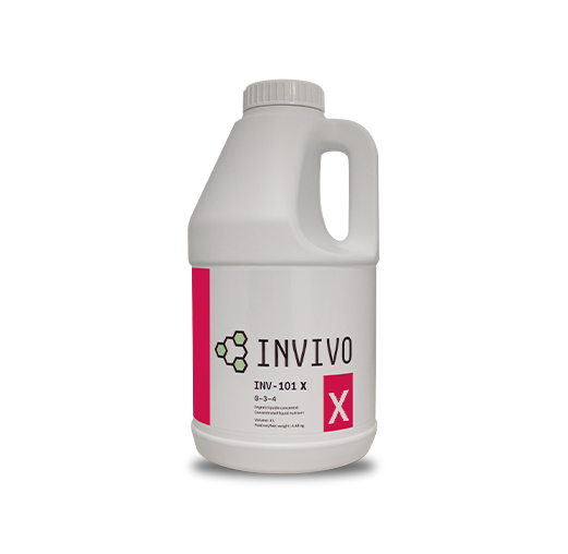 Invivo INV-101 X