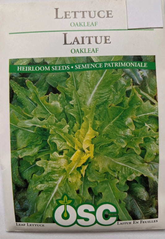 Oakleaf Lettuce