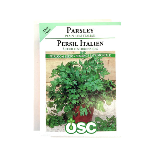 Plain Leaf Italian Parsley
