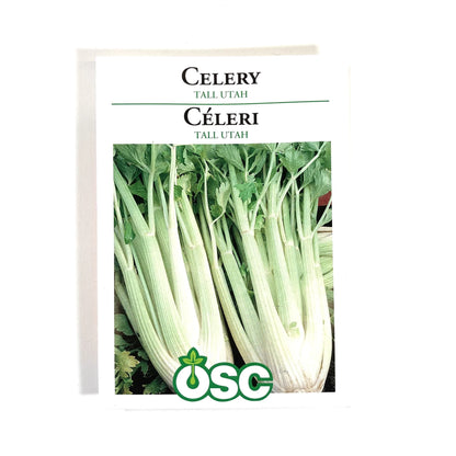 Tall Utah Celery