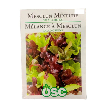 Mesclun Mixture - Salad Greens