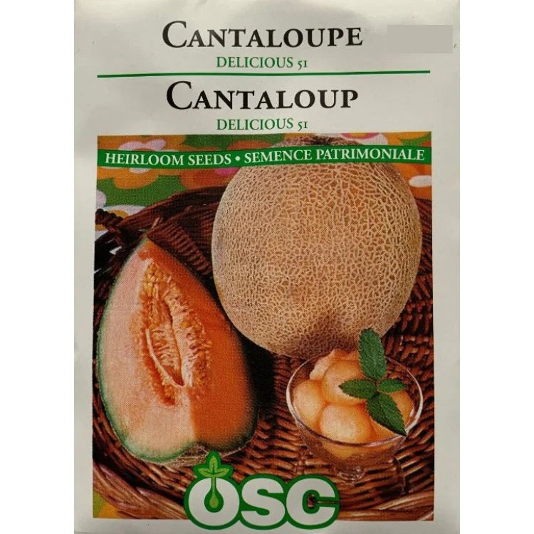 Delicious 51 Cantaloupe