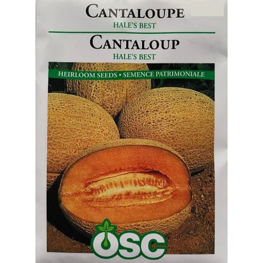 Hale's Best Cantaloupe