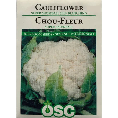 Super Snowball Self Blanching Cauliflower