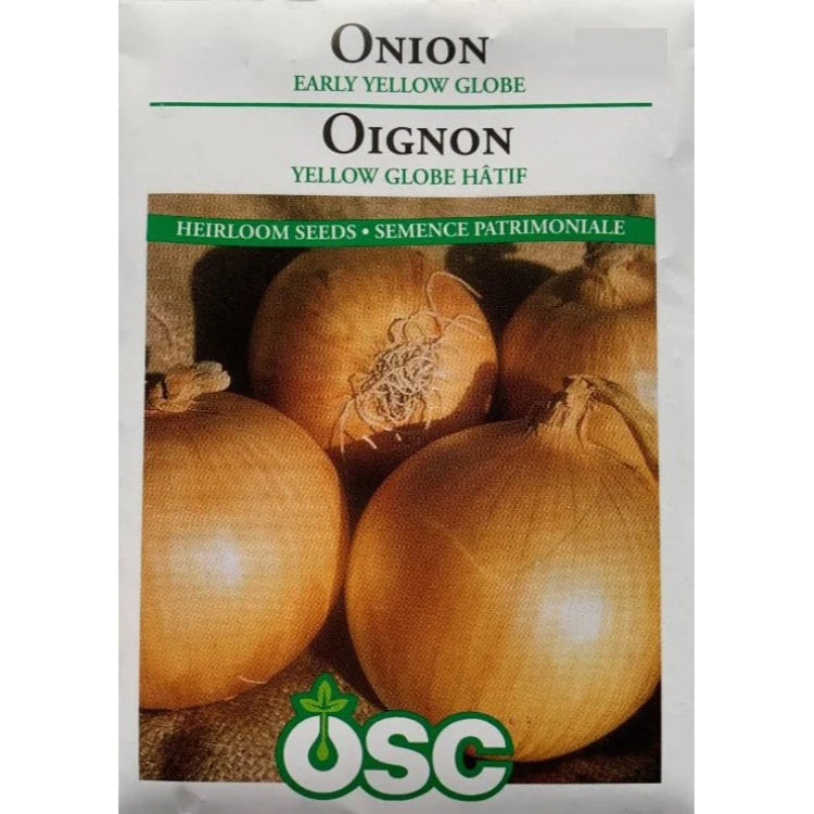 Early Yellow Globe Onion
