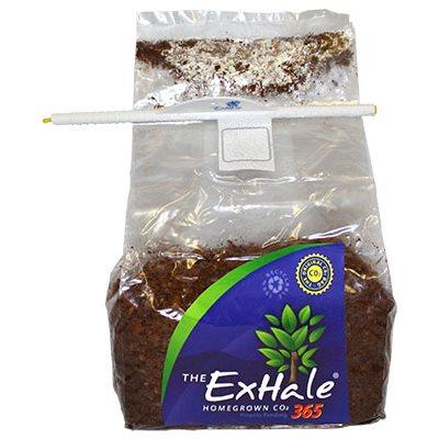 The ExHale 365 Homegrown CO2 bag