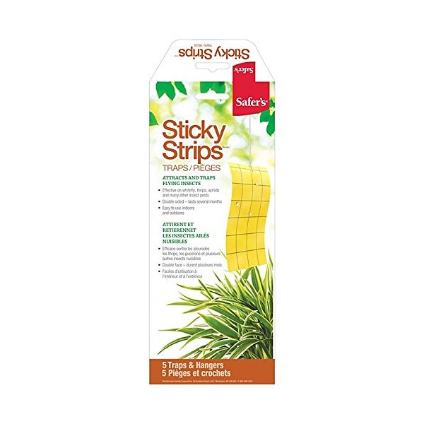 sticky strips